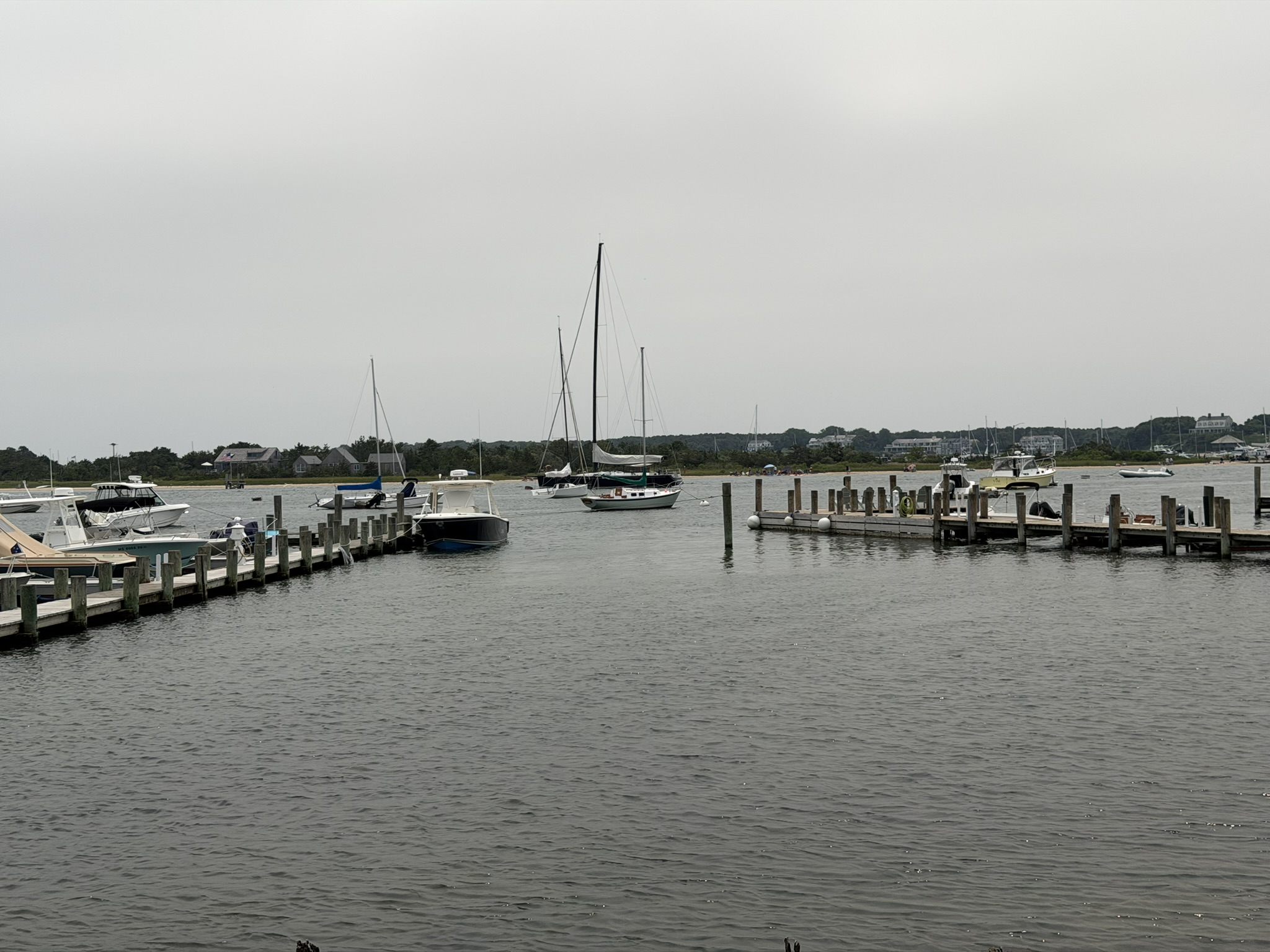 IMG 8568